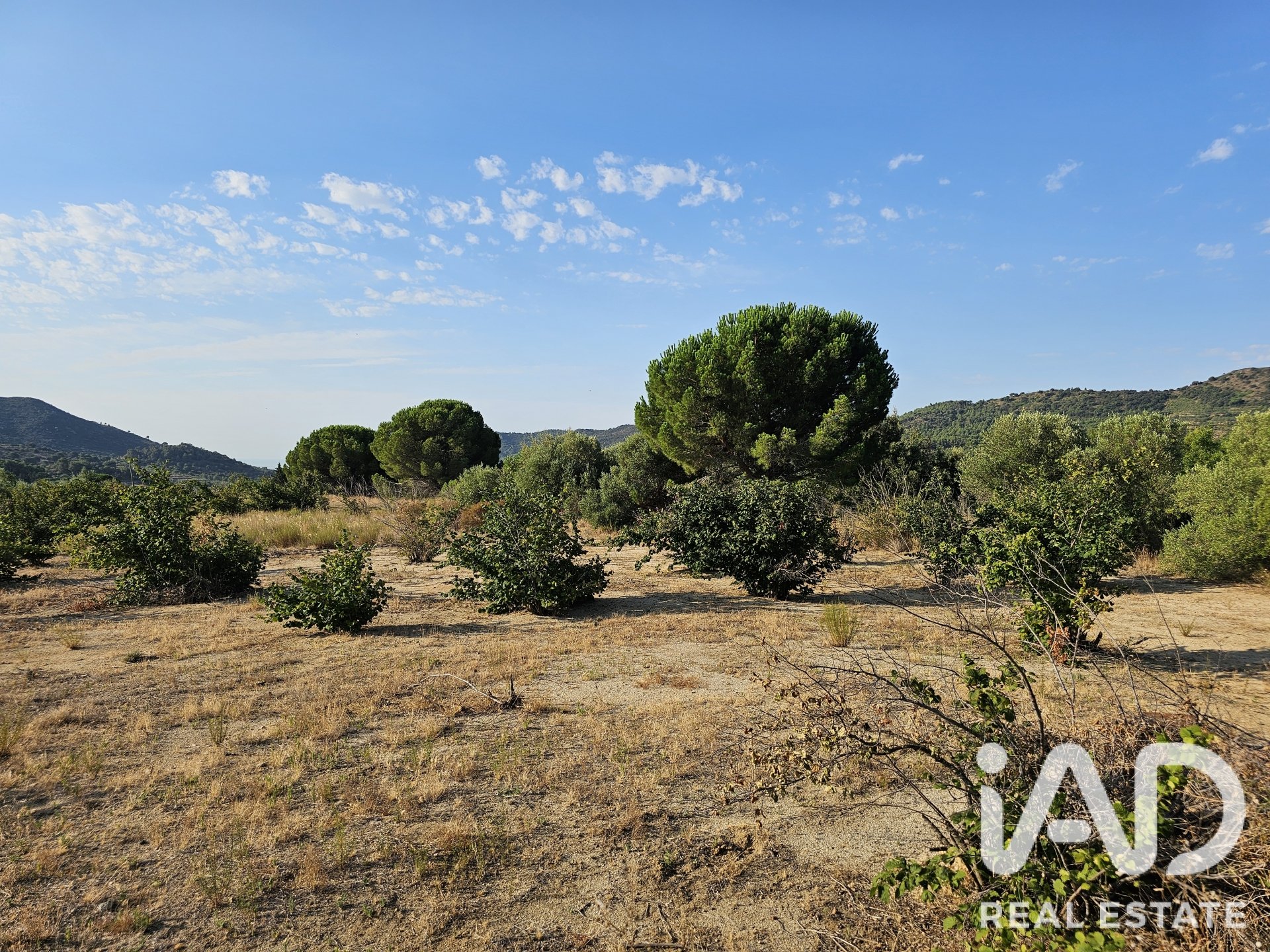 Land plot in Alforja, Tarragona, Spain 66862 sq.m. No. 187596