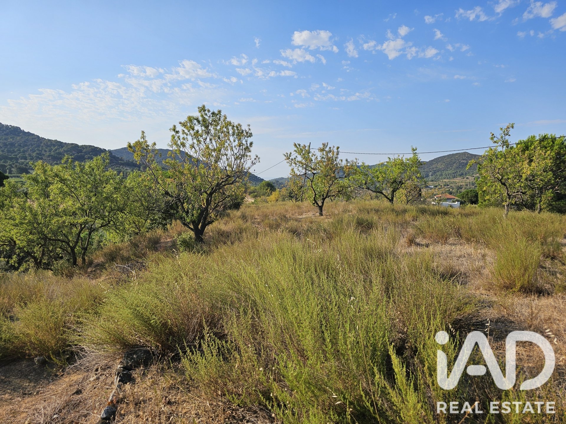 Land plot in Alforja, Tarragona, Spain 66862 sq.m. No. 187596
