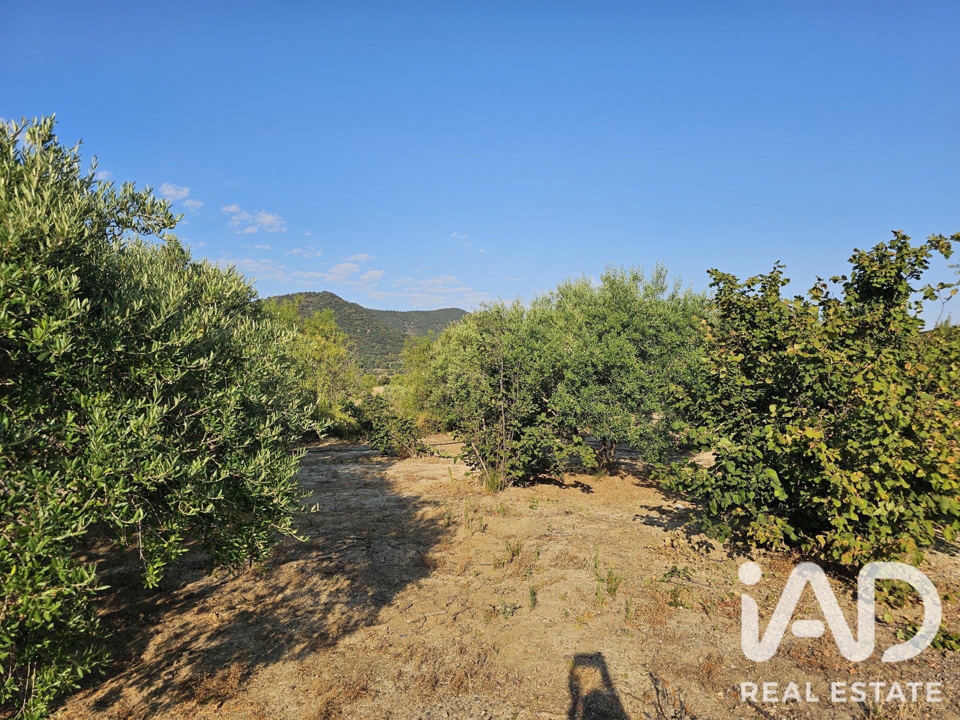 Land plot in Alforja, Tarragona, Spain 66862 sq.m. No. 187596