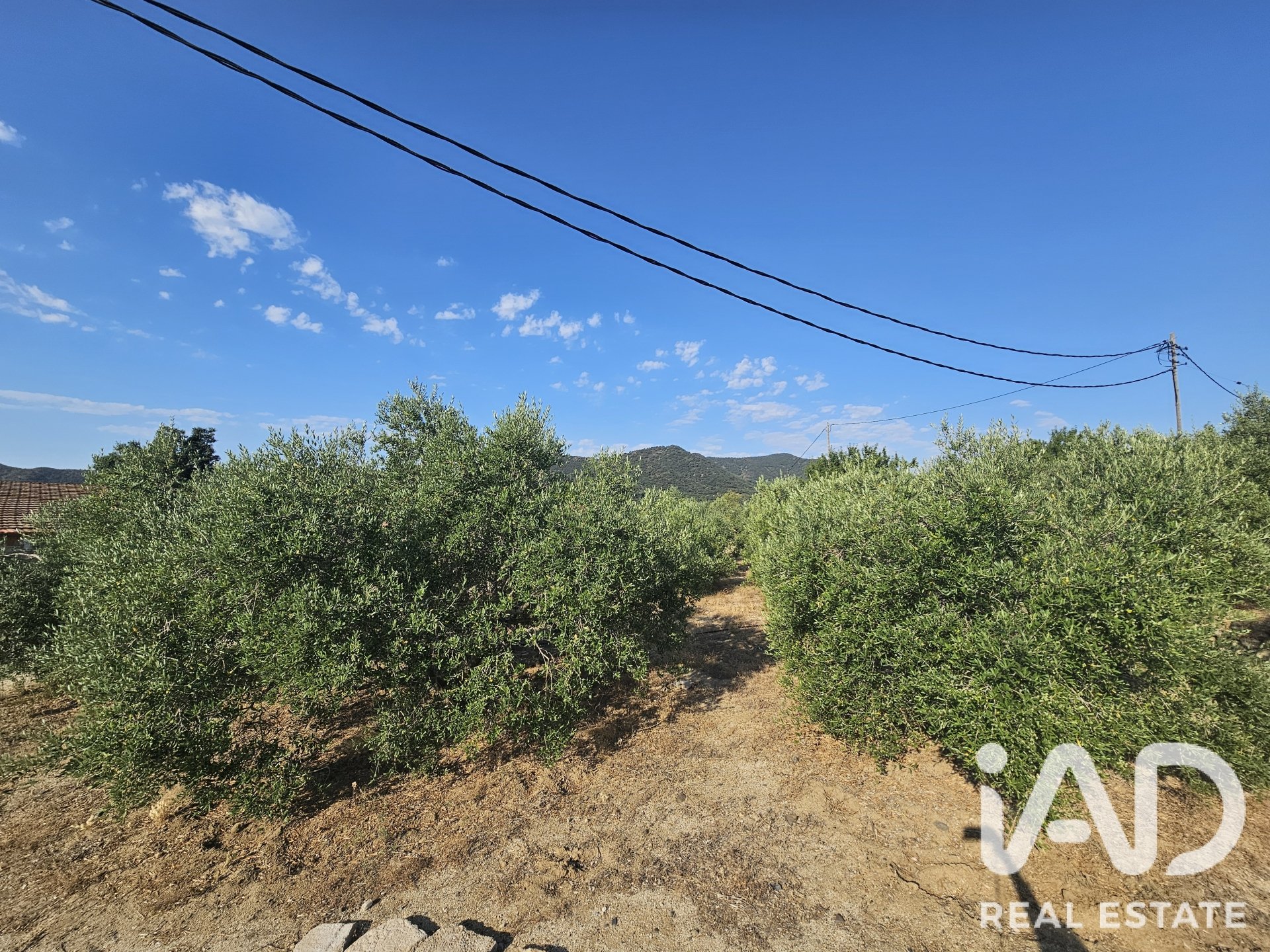 Land plot in Alforja, Tarragona, Spain 66862 sq.m. No. 187596