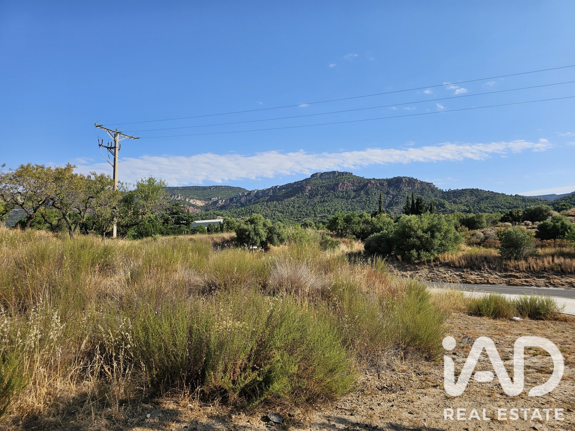 Land plot in Alforja, Tarragona, Spain 66862 sq.m. No. 187596