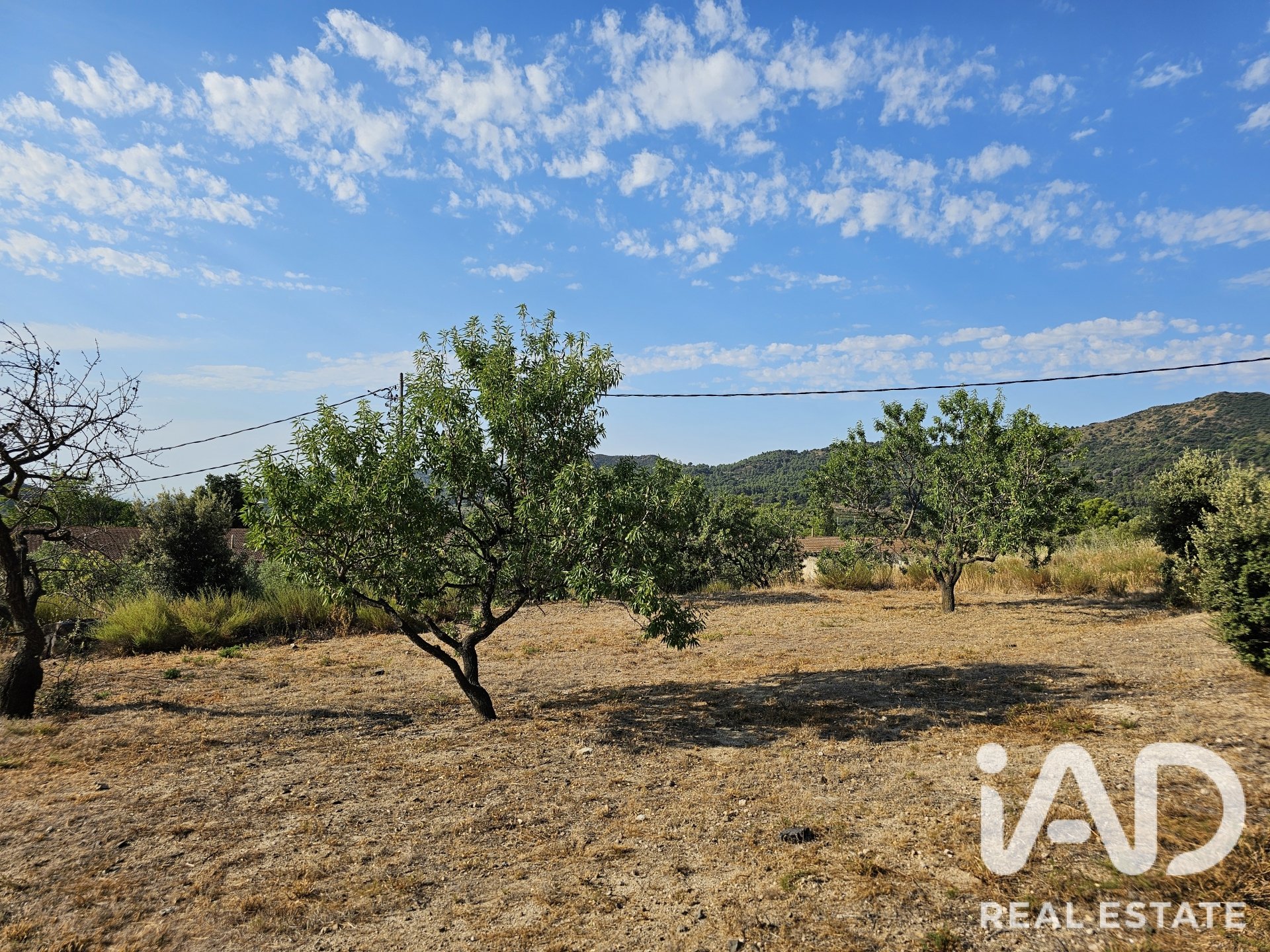 Land plot in Alforja, Tarragona, Spain 66862 sq.m. No. 187596