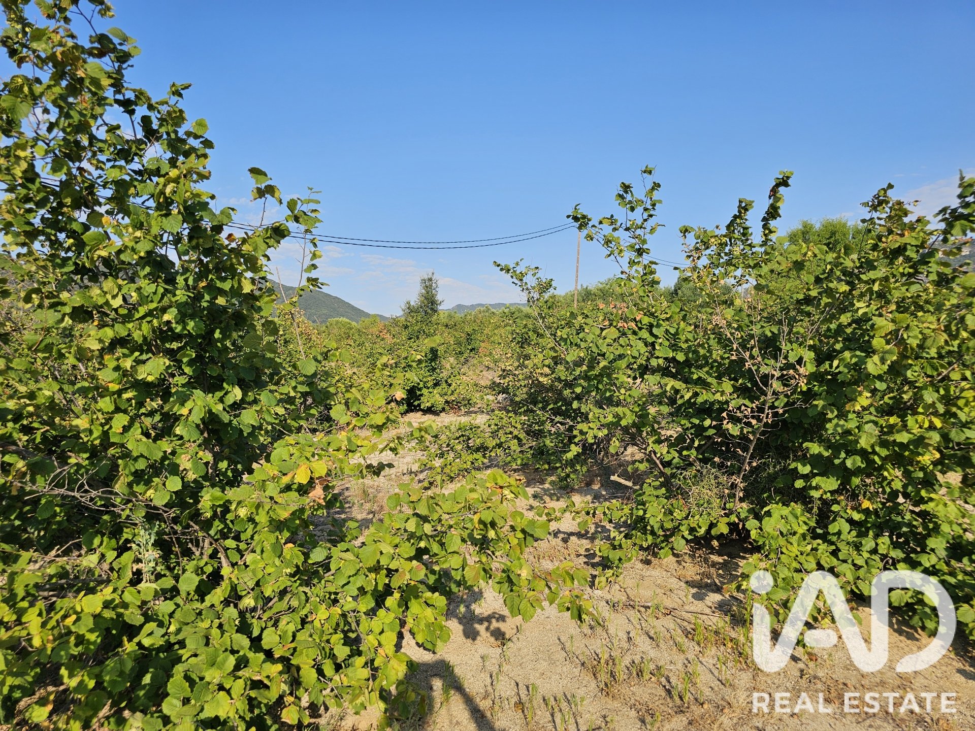 Land plot in Alforja, Tarragona, Spain 66862 sq.m. No. 187596