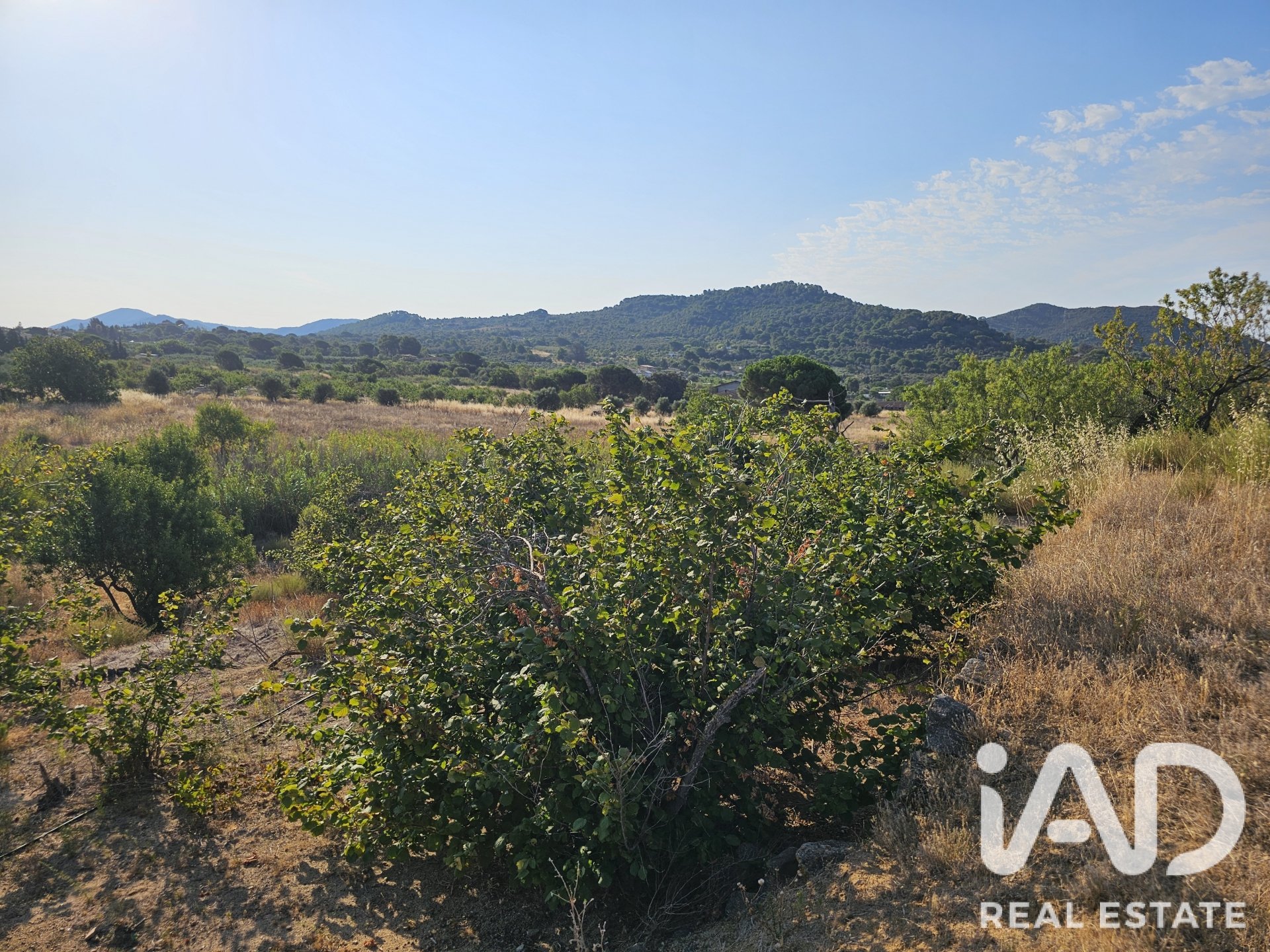 Land plot in Alforja, Tarragona, Spain 66862 sq.m. No. 187596