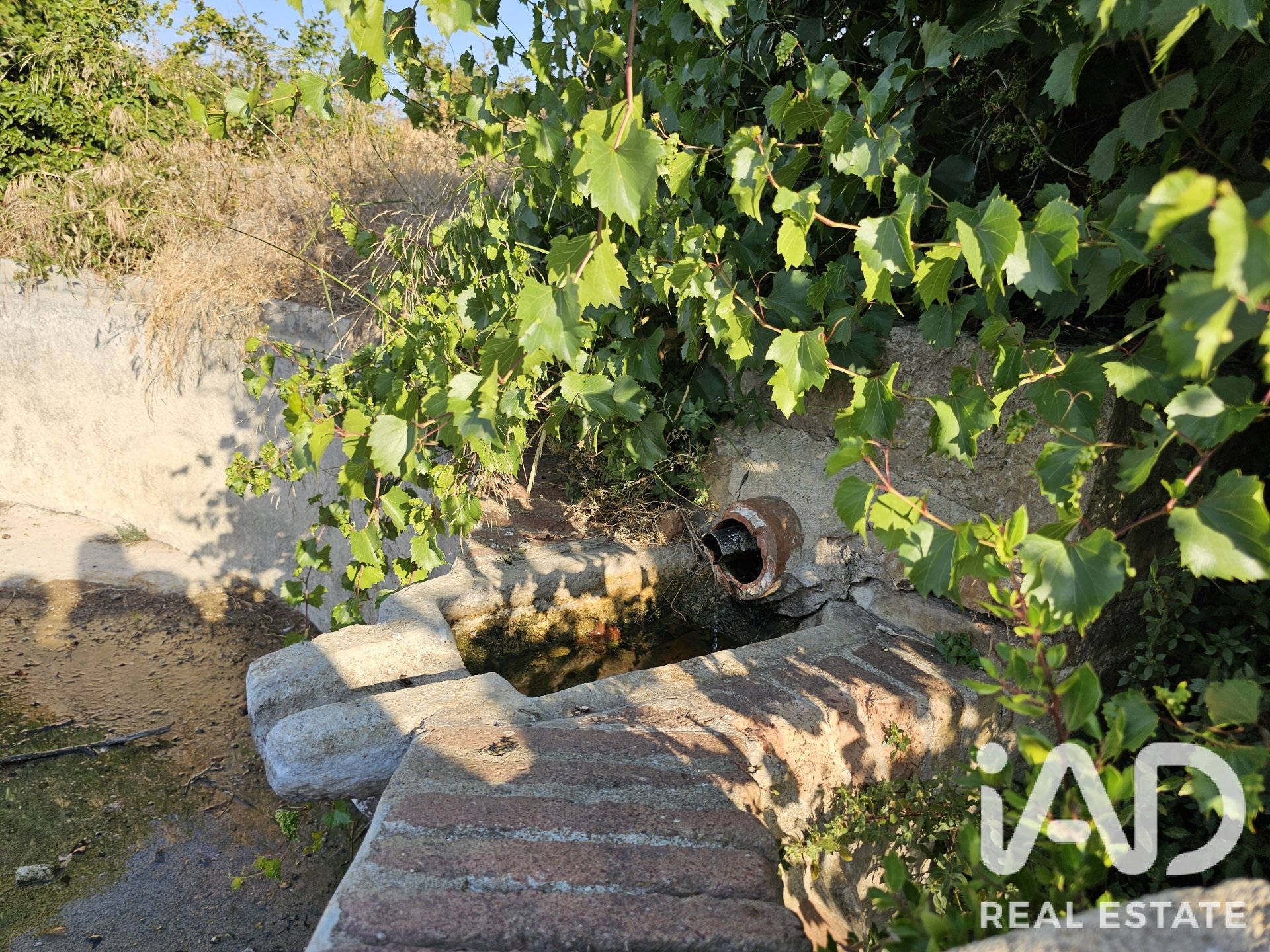 Land plot in Alforja, Tarragona, Spain 66862 sq.m. No. 187596