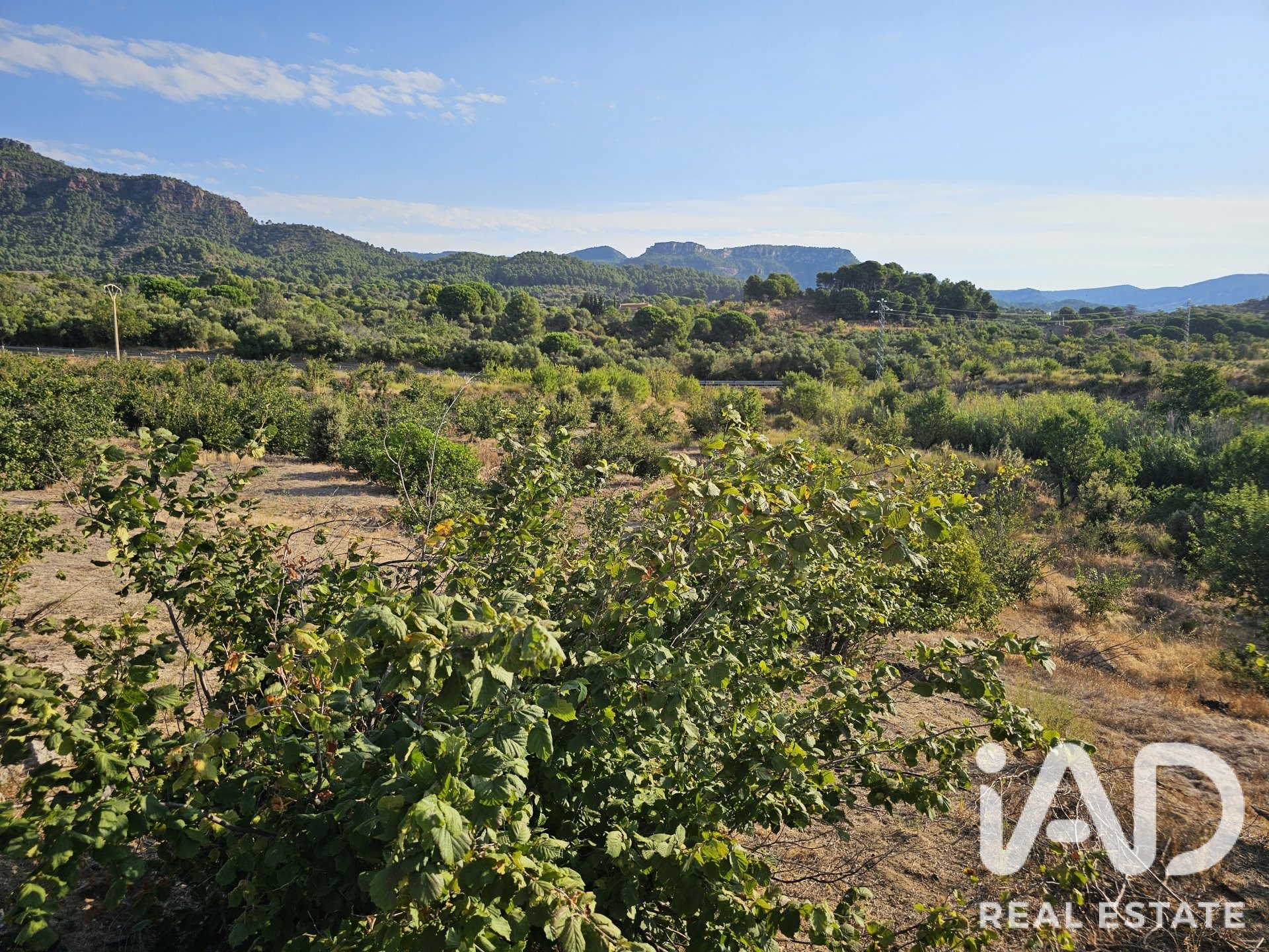 Land plot in Alforja, Tarragona, Spain 66862 sq.m. No. 187596
