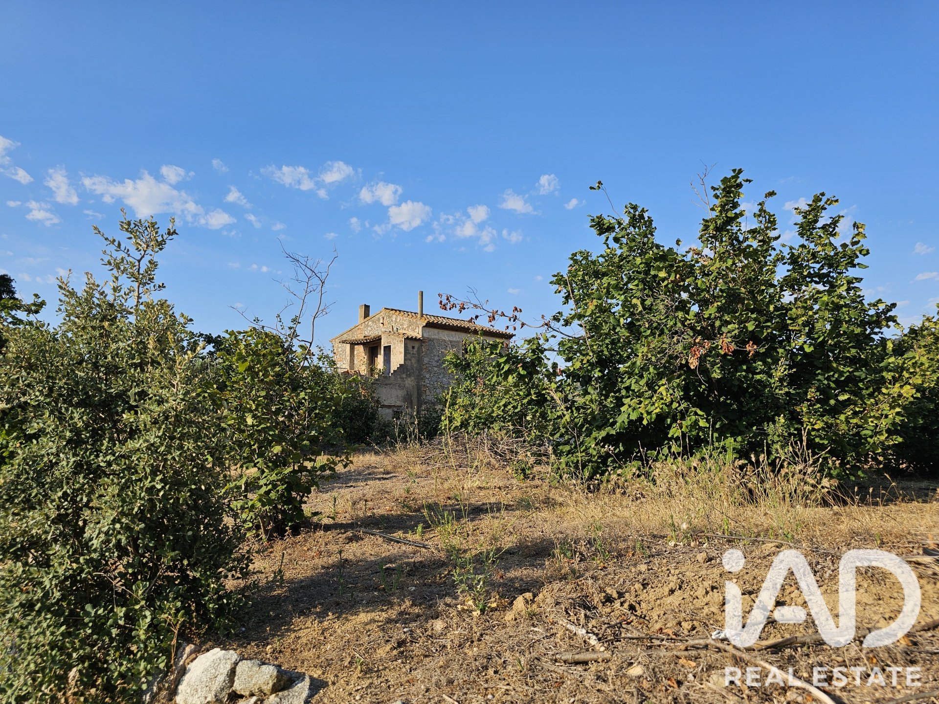 Land plot in Alforja, Tarragona, Spain 66862 sq.m. No. 187596