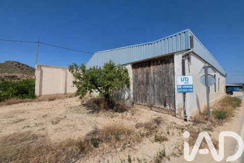Land plot in Cehegin, Murcia, Spain 3200 sq.m. No. 188378