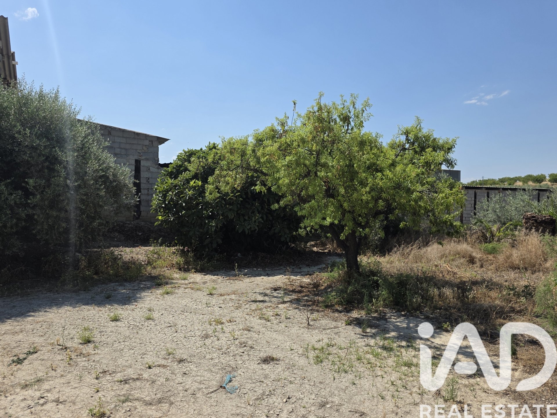 Land plot in Cehegin, Murcia, Spain 3200 sq.m. No. 188378