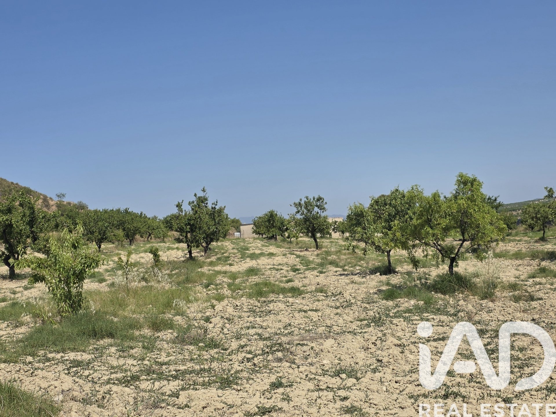 Land plot in Cehegin, Murcia, Spain 200000 sq.m. No. 188379