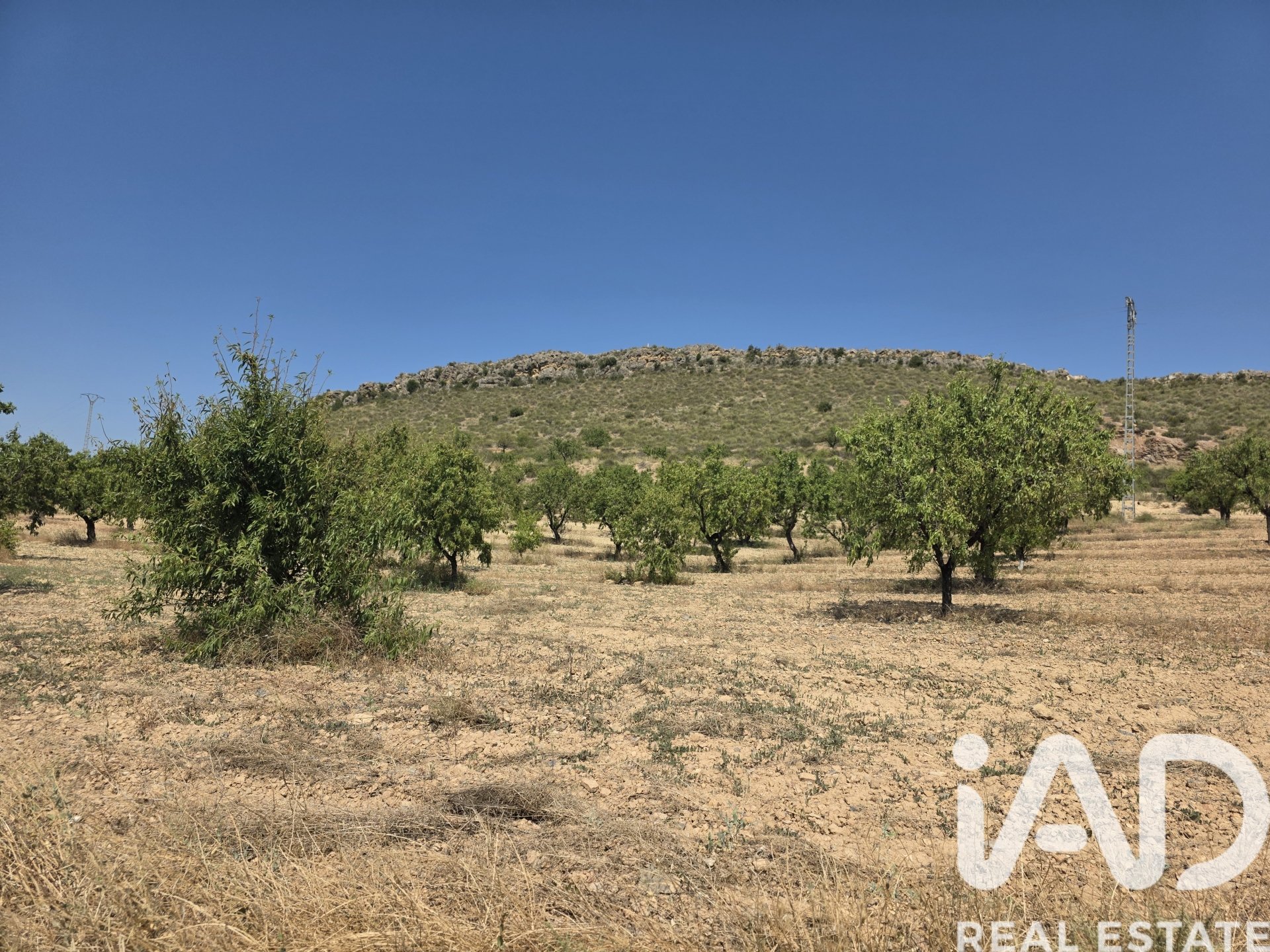 Land plot in Cehegin, Murcia, Spain 200000 sq.m. No. 188379