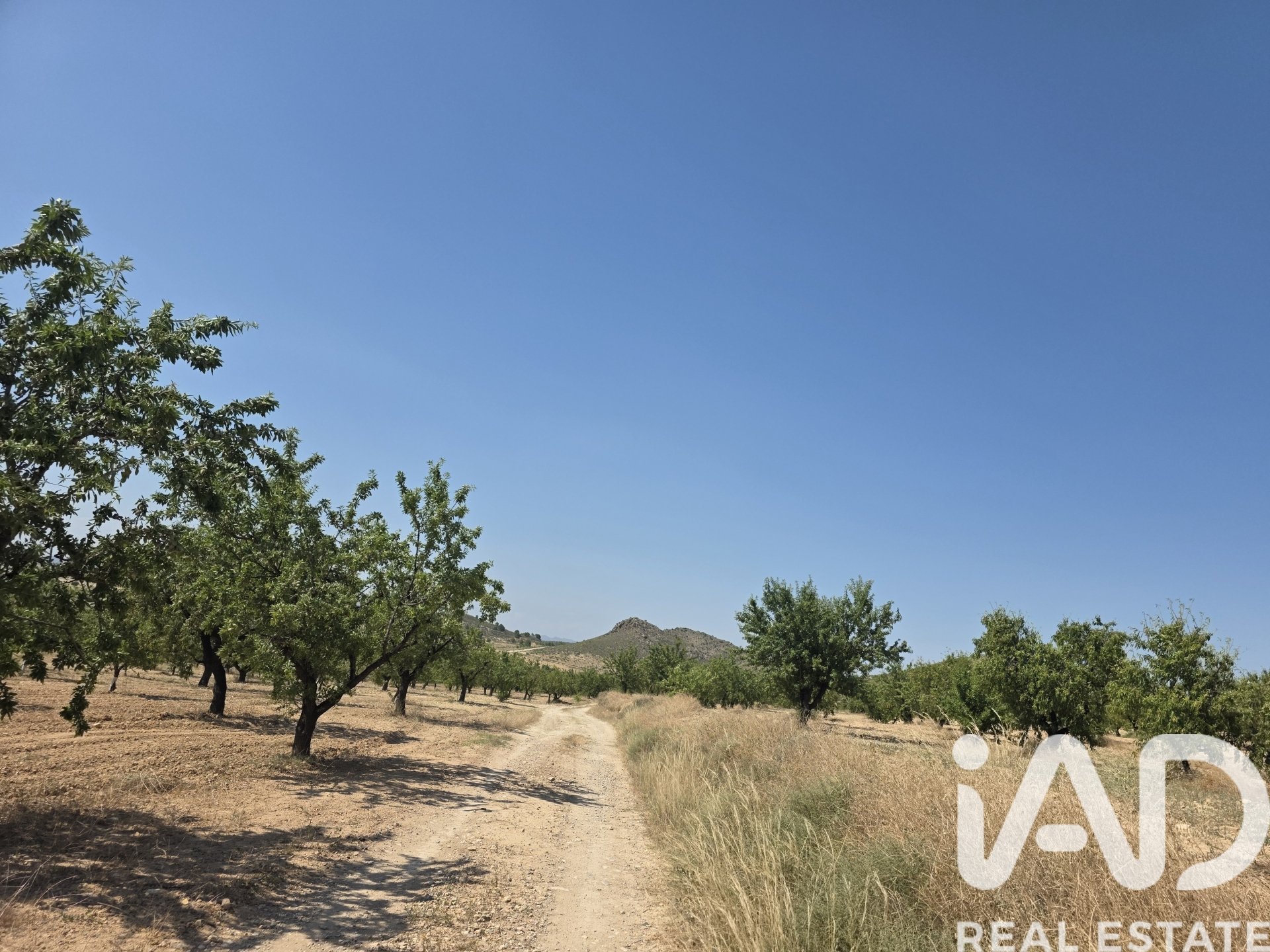 Land plot in Cehegin, Murcia, Spain 200000 sq.m. No. 188379