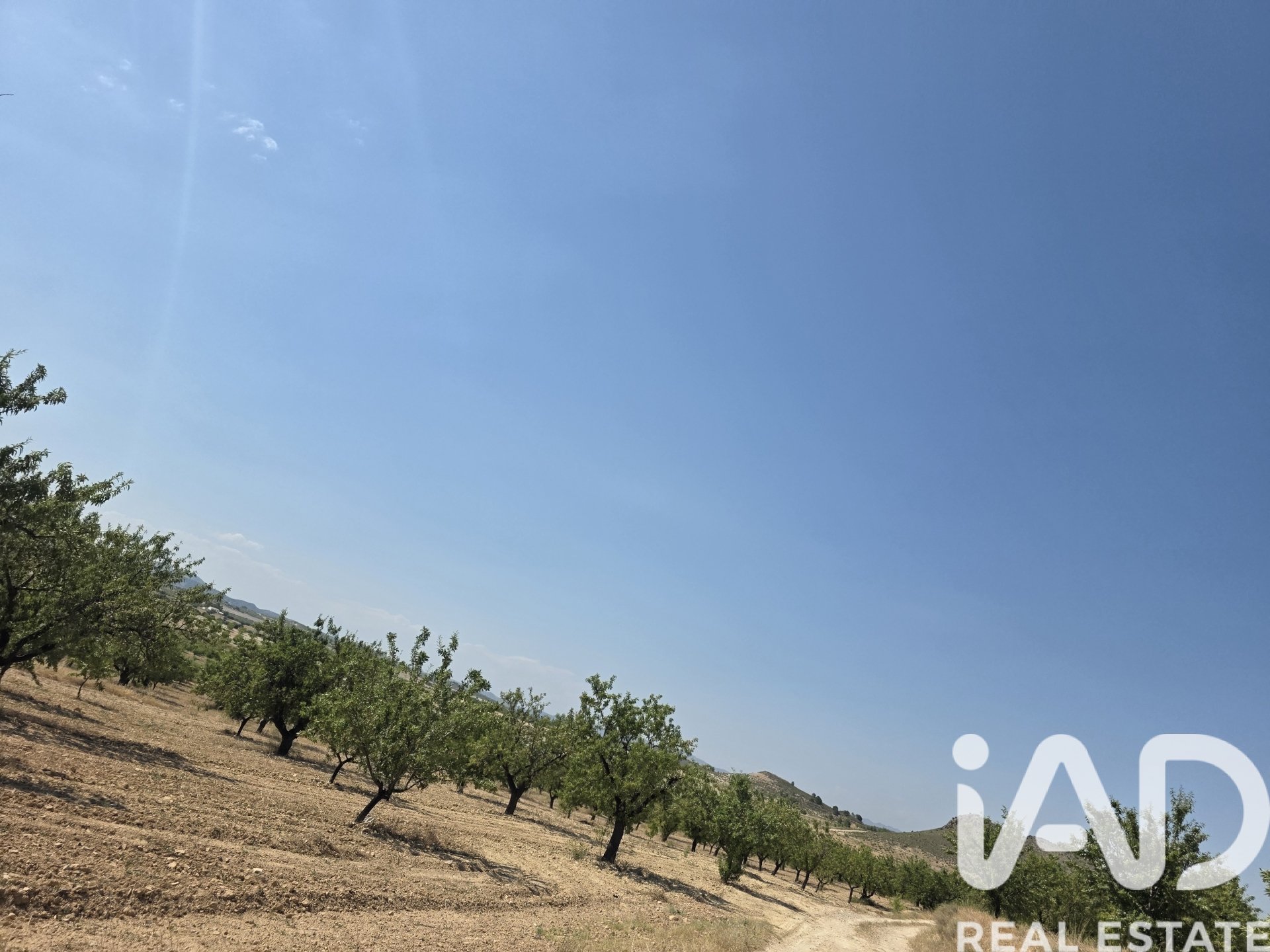 Land plot in Cehegin, Murcia, Spain 200000 sq.m. No. 188379