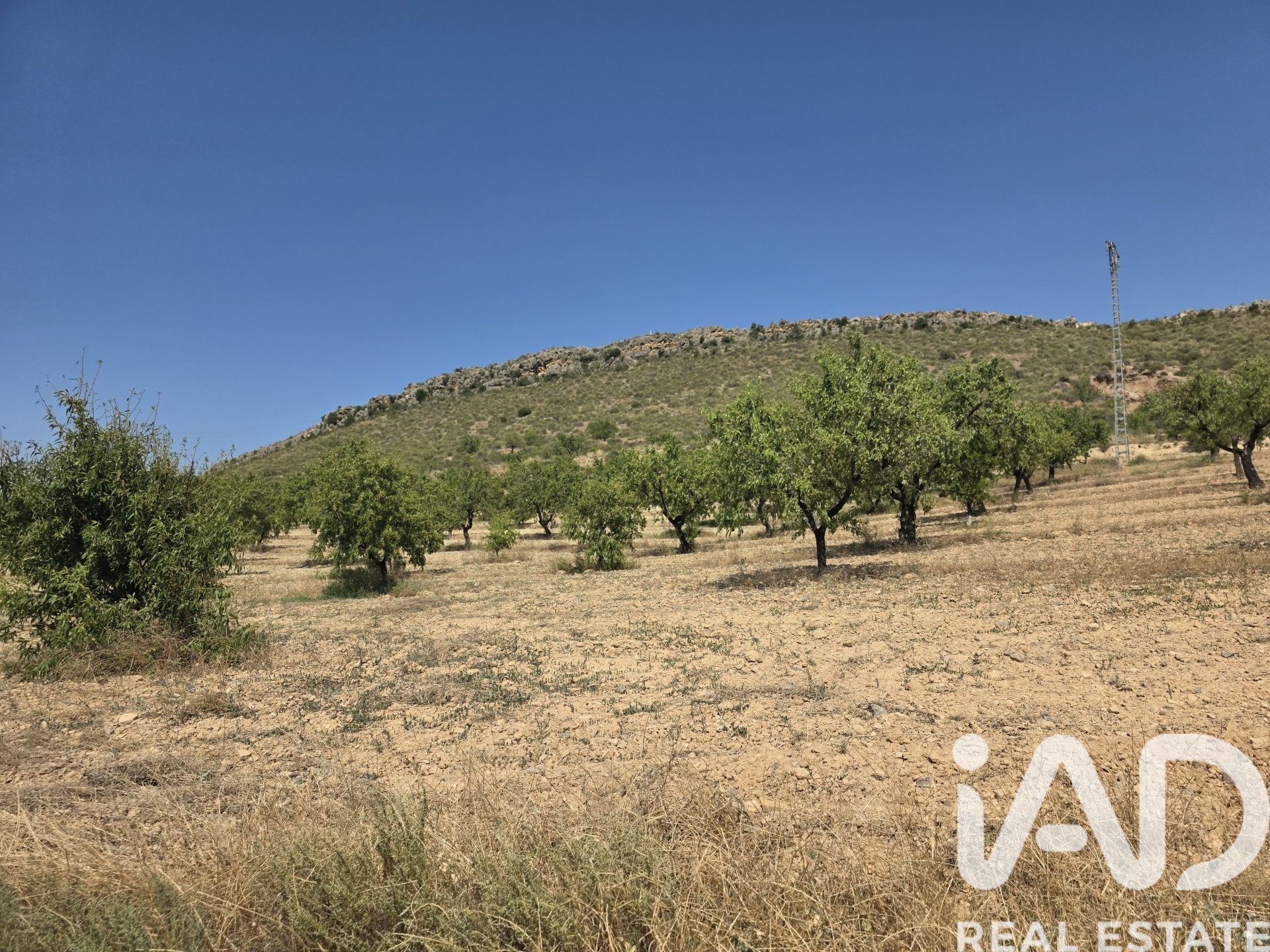 Land plot in Cehegin, Murcia, Spain 200000 sq.m. No. 188379