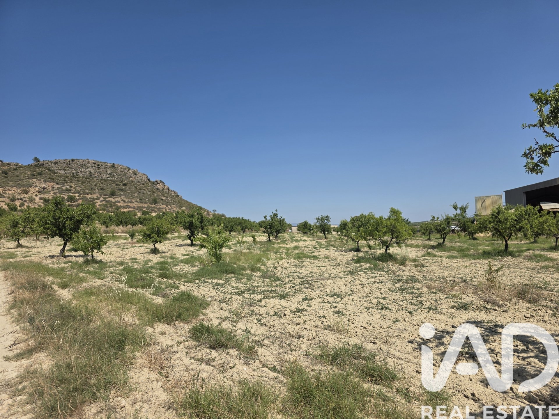 Land plot in Cehegin, Murcia, Spain 200000 sq.m. No. 188379