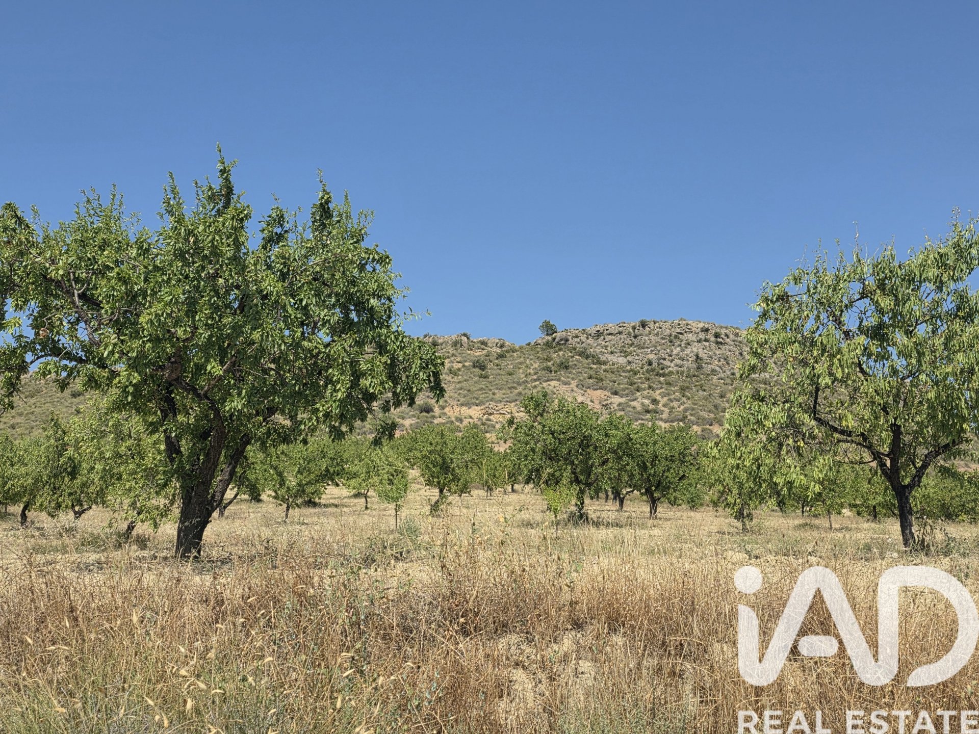Land plot in Cehegin, Murcia, Spain 200000 sq.m. No. 188379