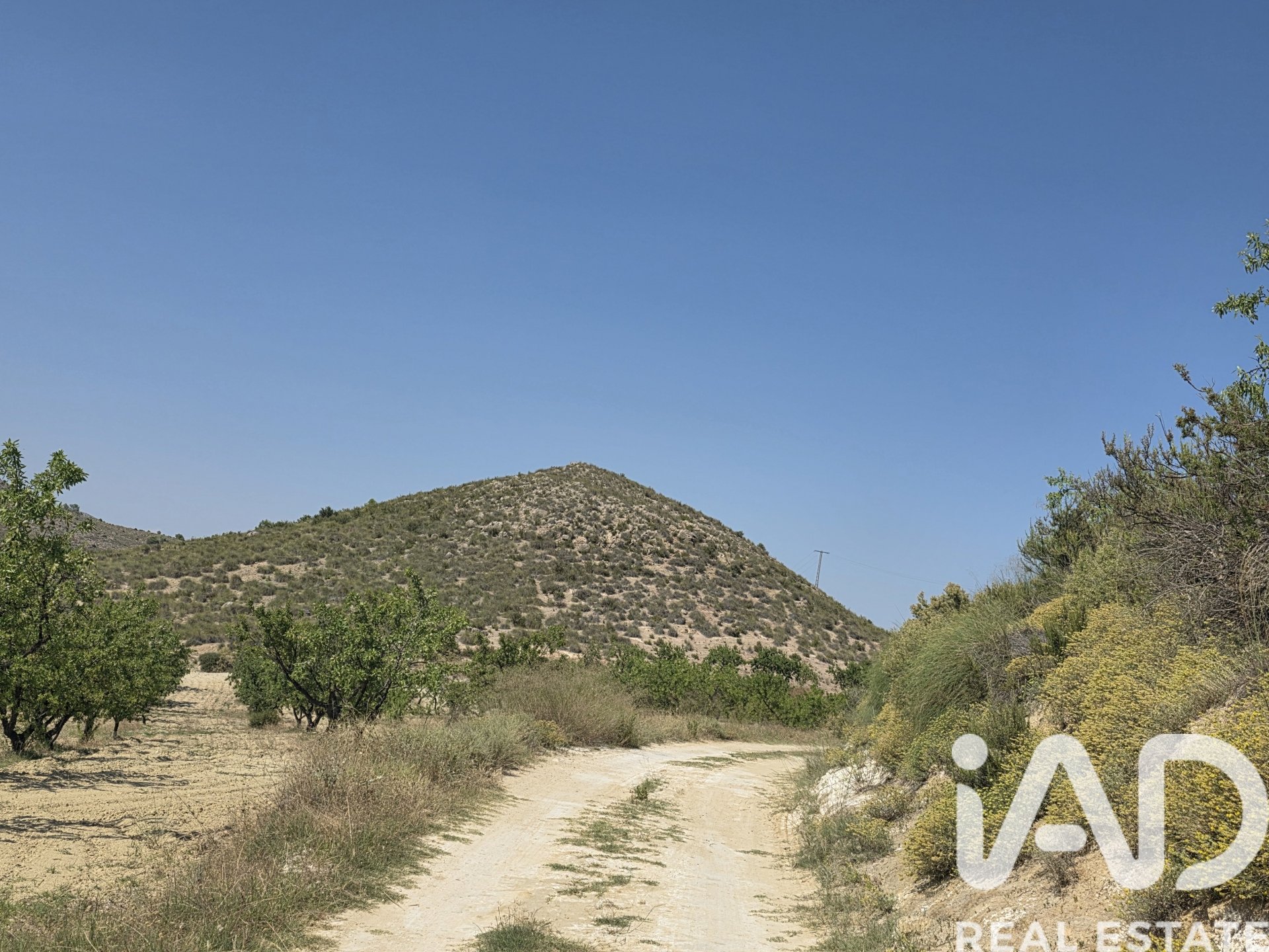 Land plot in Cehegin, Murcia, Spain 200000 sq.m. No. 188379