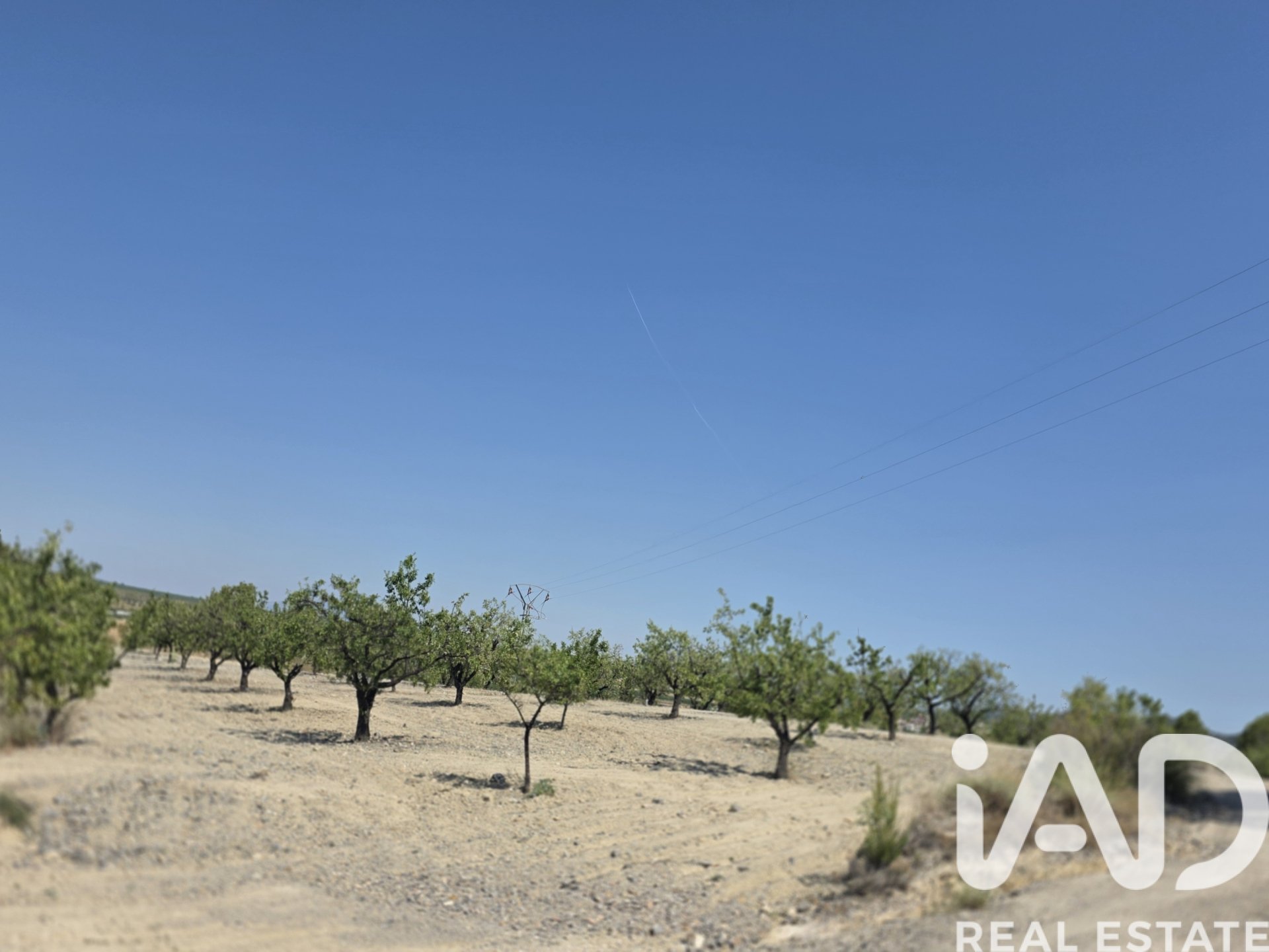 Land plot in Cehegin, Murcia, Spain 200000 sq.m. No. 188379