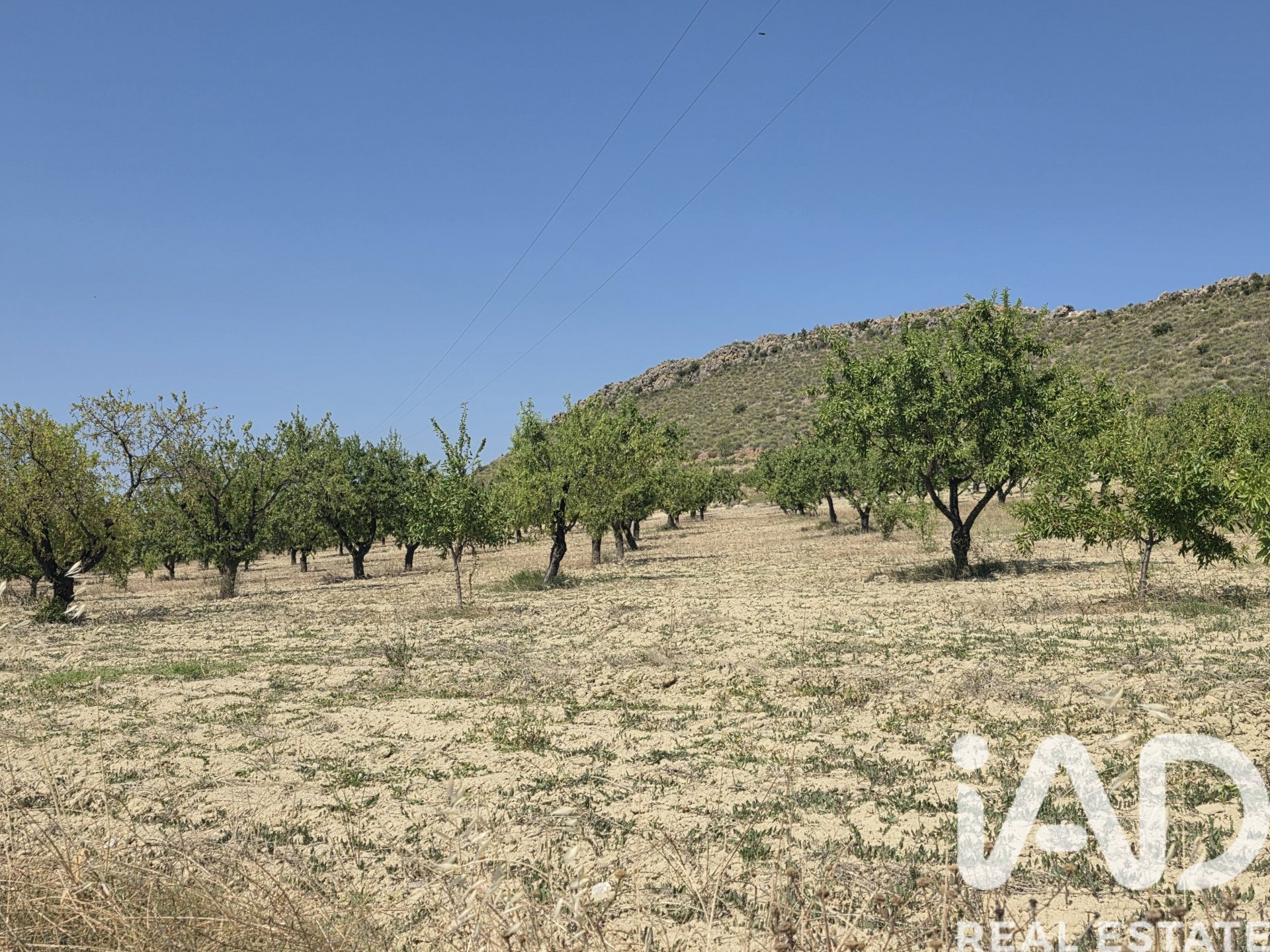 Land plot in Cehegin, Murcia, Spain 200000 sq.m. No. 188379