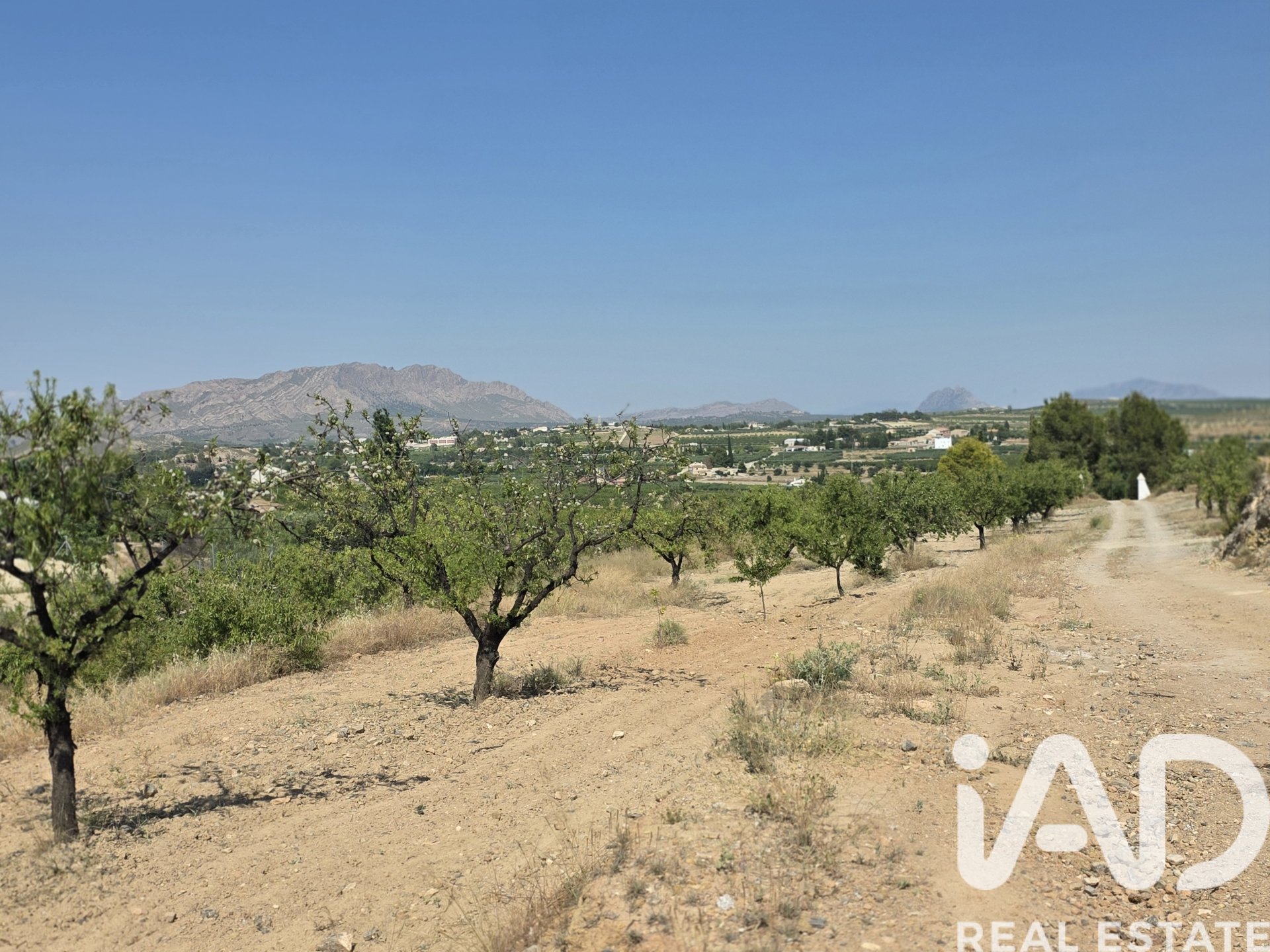 Land plot in Cehegin, Murcia, Spain 200000 sq.m. No. 188379