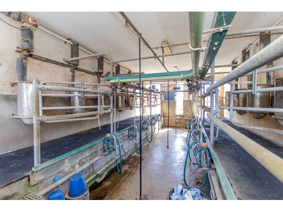 Сasa en Ciutadella De Menorca, Menorca, España 3 dormitorios, 629 m2 No. 110989