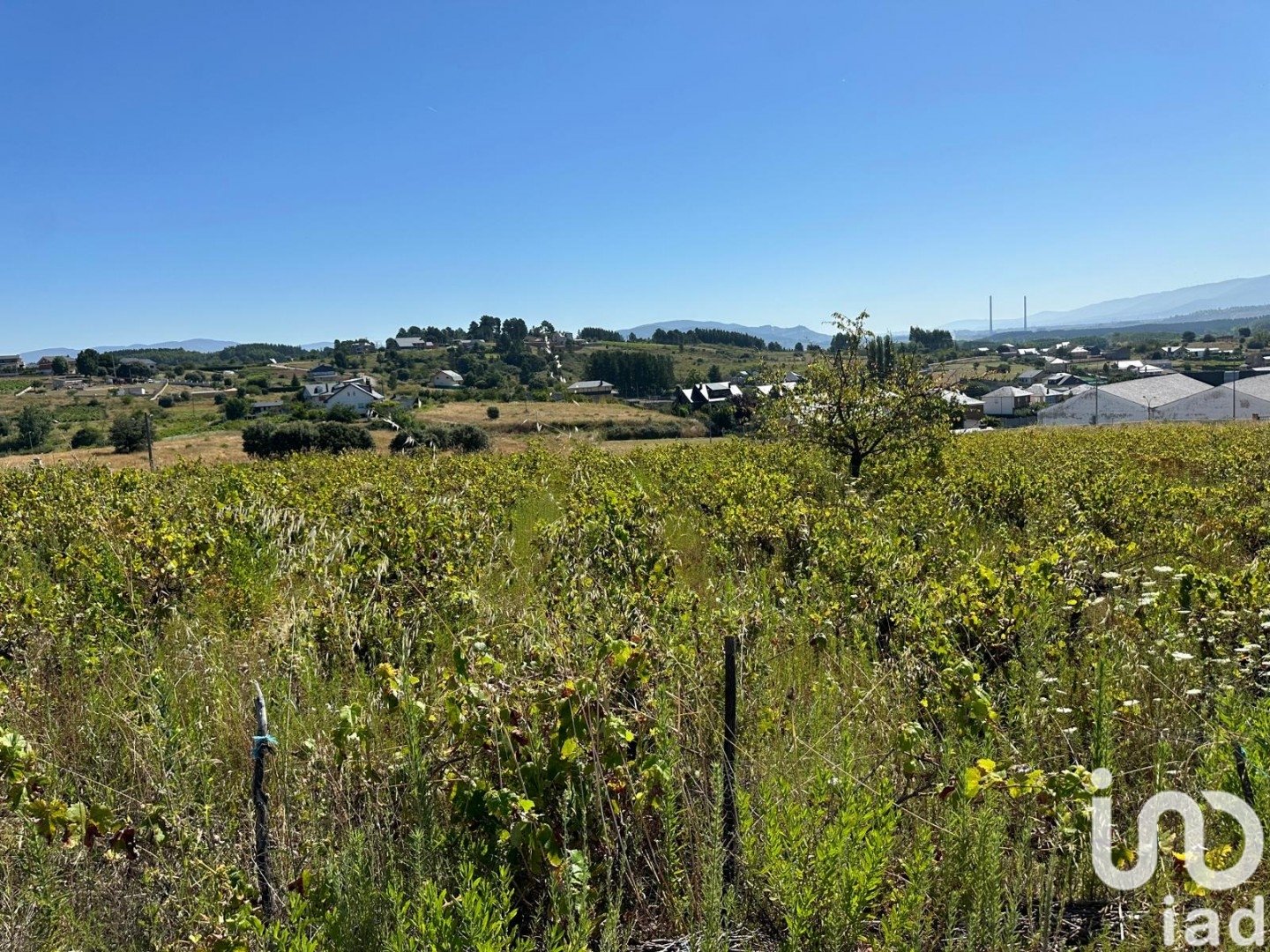 Land in Cabanas Raras, Leon, Spanien 3010 m2 Nr. 186036