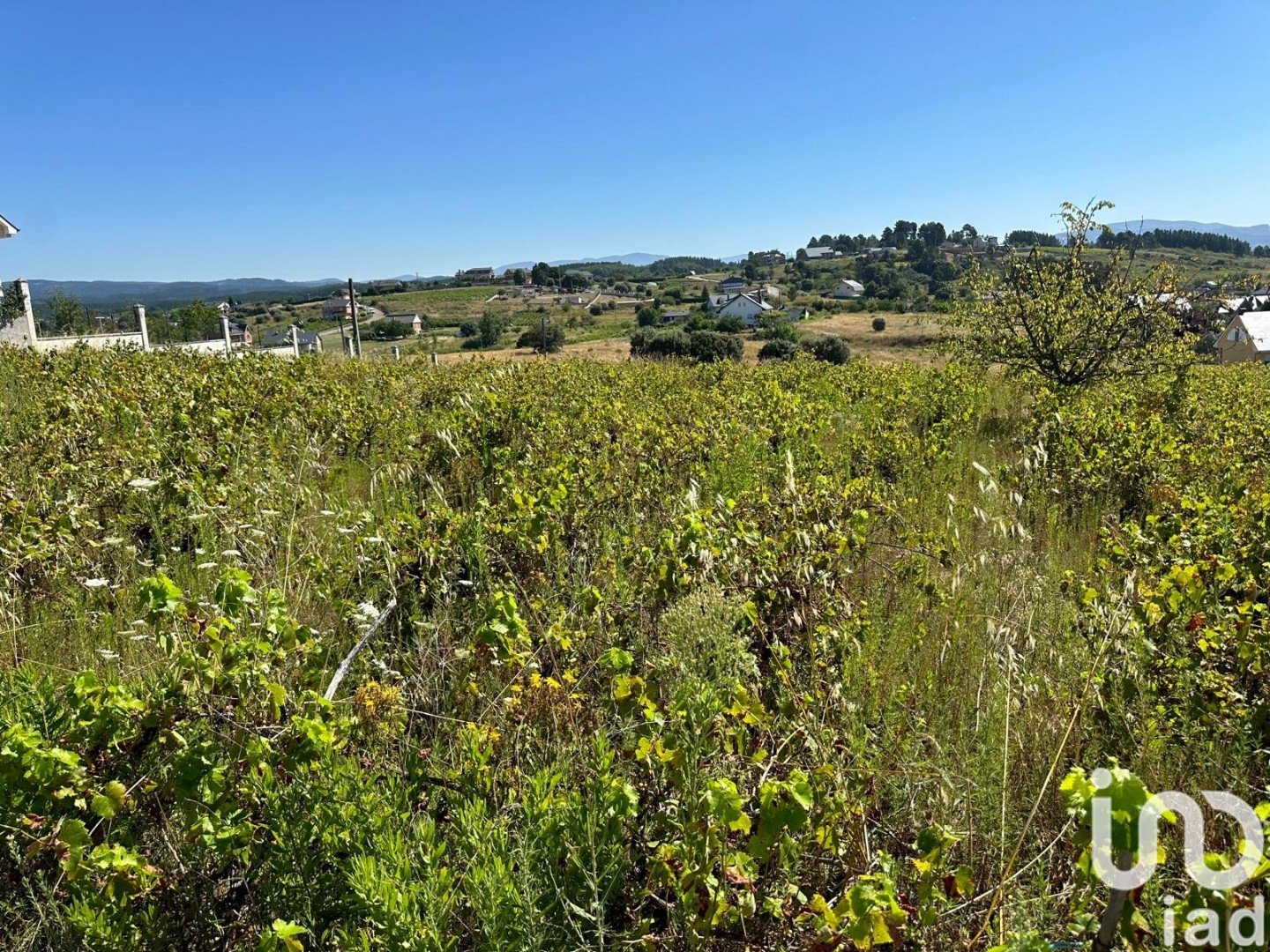 Land in Cabanas Raras, Leon, Spanien 3010 m2 Nr. 186036