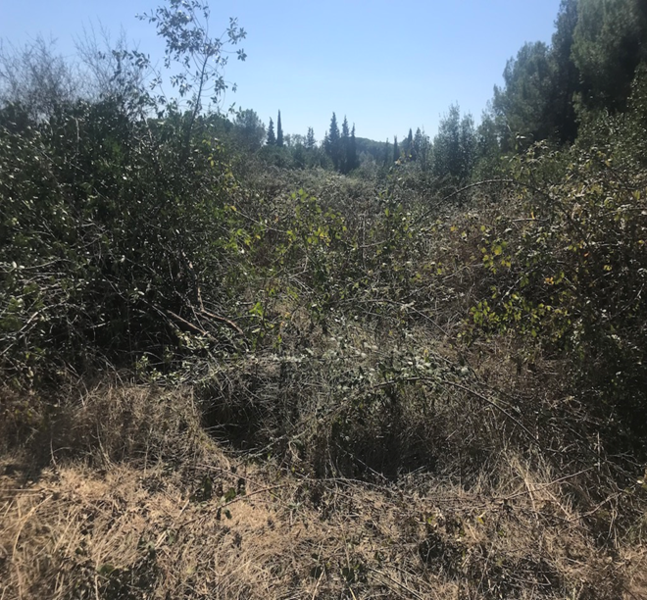 Land plot in Tordera, Barcelona, Spain No. 195308