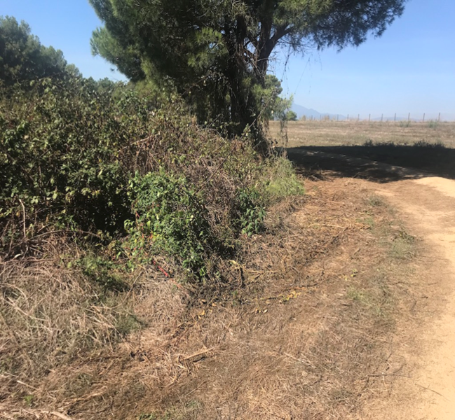 Land plot in Tordera, Barcelona, Spain No. 195308