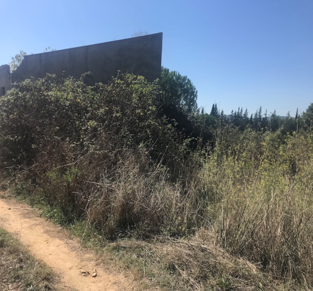 Land plot in Tordera, Barcelona, Spain No. 195308