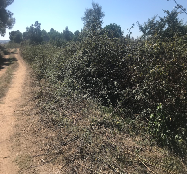 Land plot in Tordera, Barcelona, Spain No. 195308