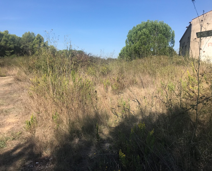 Land plot in Tordera, Barcelona, Spain No. 195308