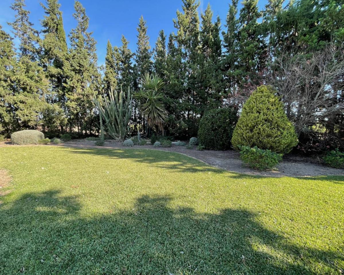 Finca Daya Vieja, Alicante, Spānijā 4 istabas,  Nr. 80856