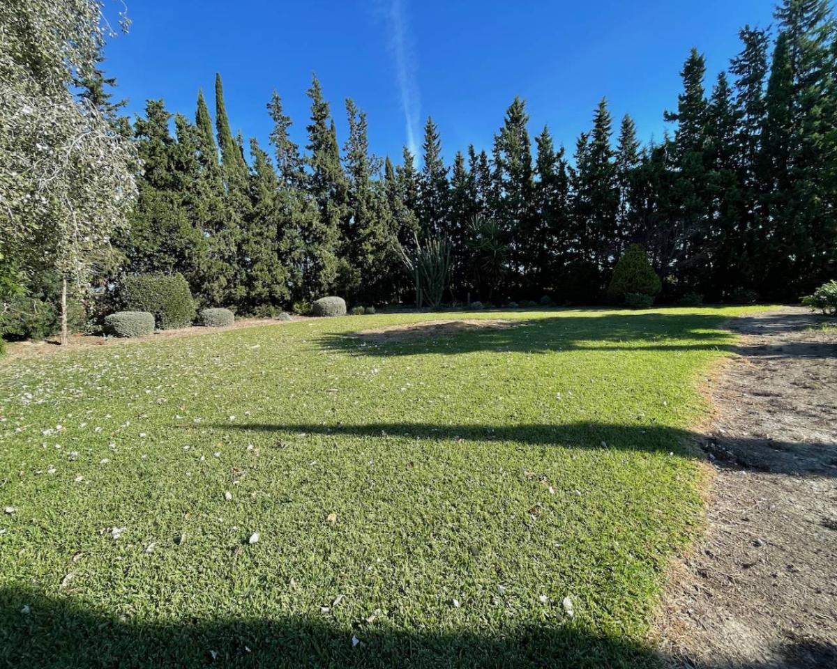 Finca Daya Vieja, Alicante, Spānijā 4 istabas,  Nr. 80856
