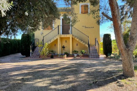 Finca Daya Vieja, Alicante, Spānijā 4 istabas,  Nr. 80856