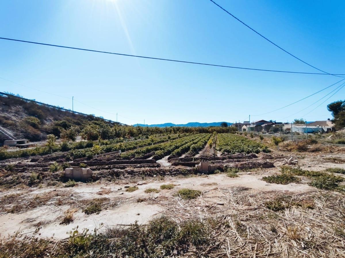 Māja Orihuela, Alicante, Spānijā 709 m2 Nr. 183893
