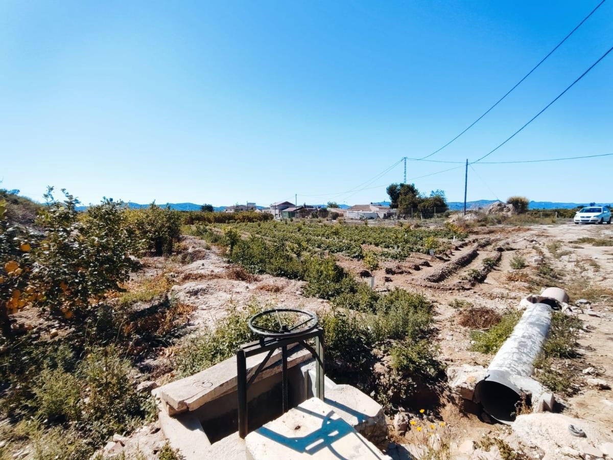 Māja Orihuela, Alicante, Spānijā 709 m2 Nr. 183893