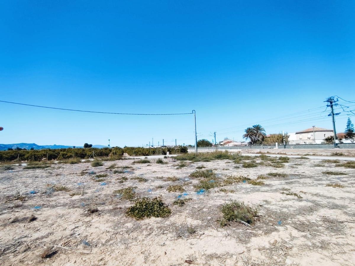 Māja Orihuela, Alicante, Spānijā 709 m2 Nr. 183893