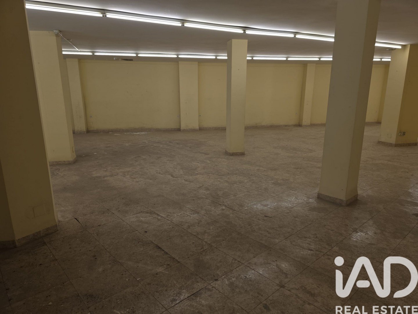 Commercial property in Cehegin, Murcia, Spain 430 sq.m. No. 185222
