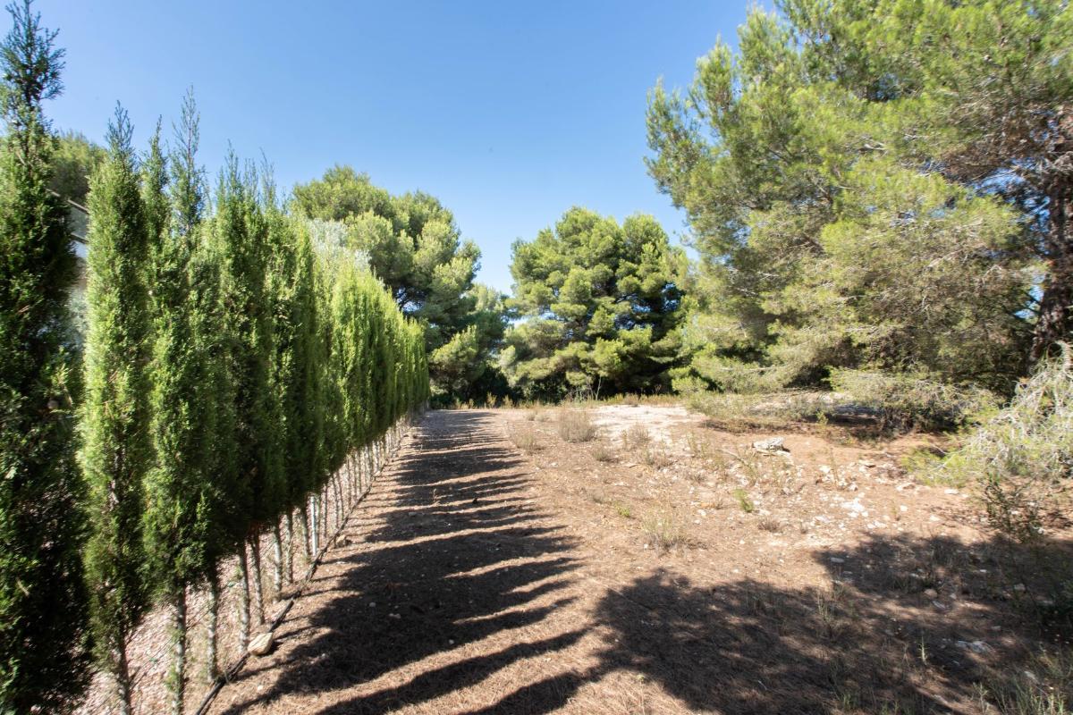 Land in Javea, Alicante, Spanien Nr. 80712
