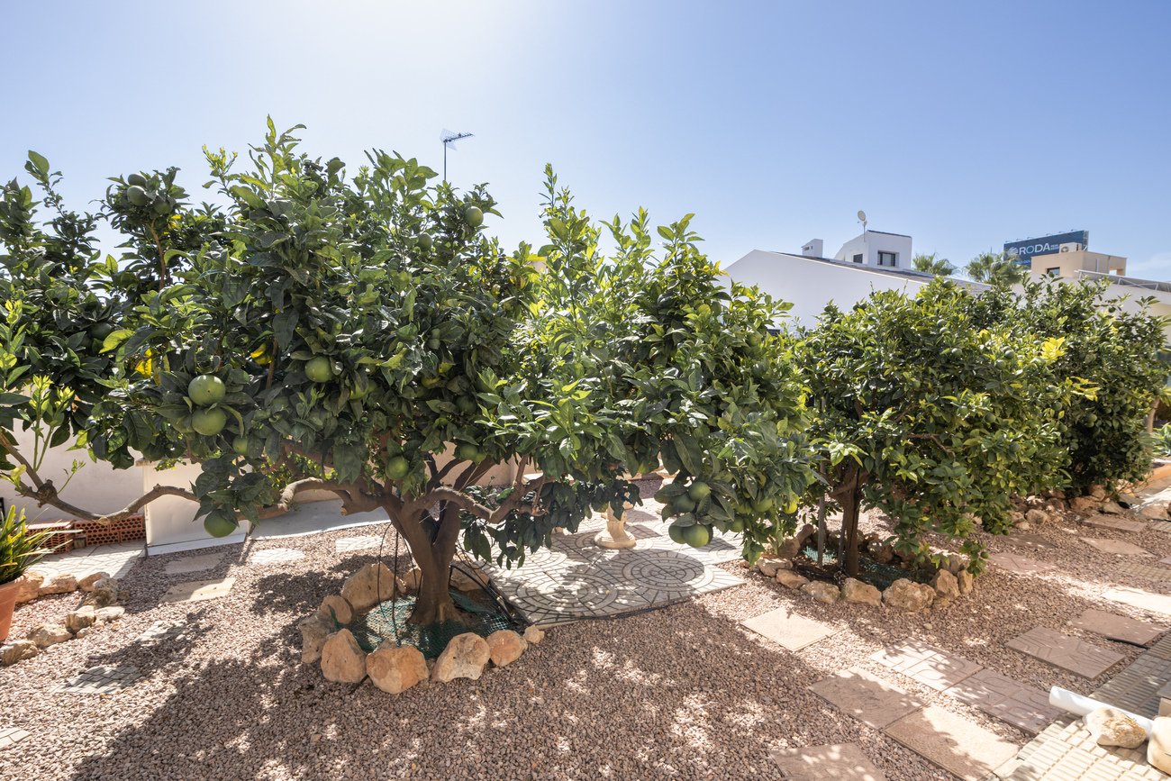 Huvila Alicante, Espanja 4 makuuhuonetta, 180 m2 No. 195693