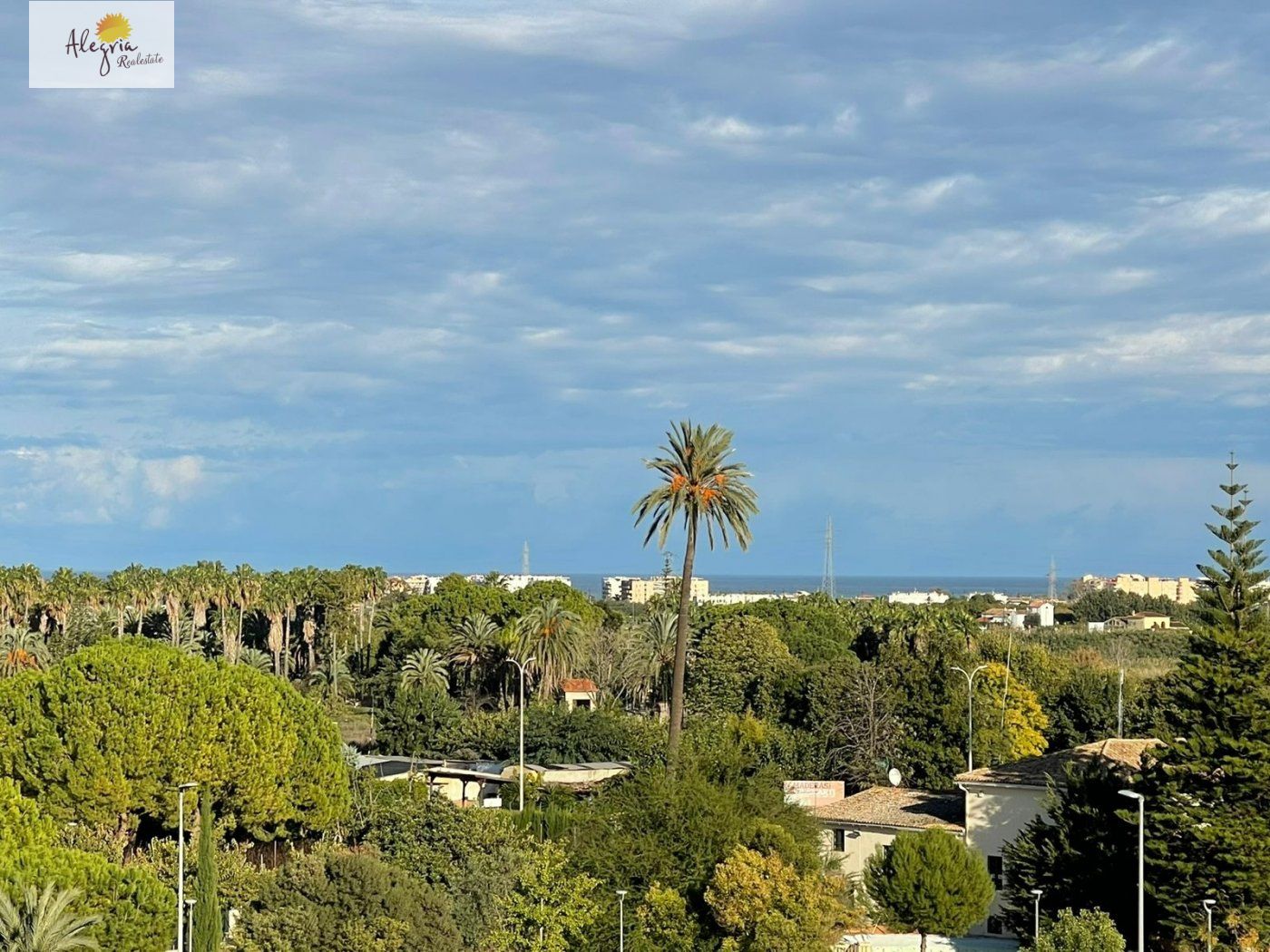 Liikekiinteistö Gandia, Valencia, Espanja 23 makuuhuonetta, 4148 m2 No. 168711