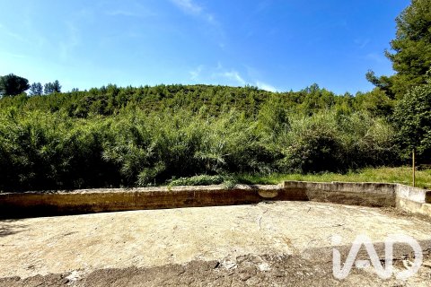 Parcela en Lliber, Alicante, España 19000 m2 No. 187928