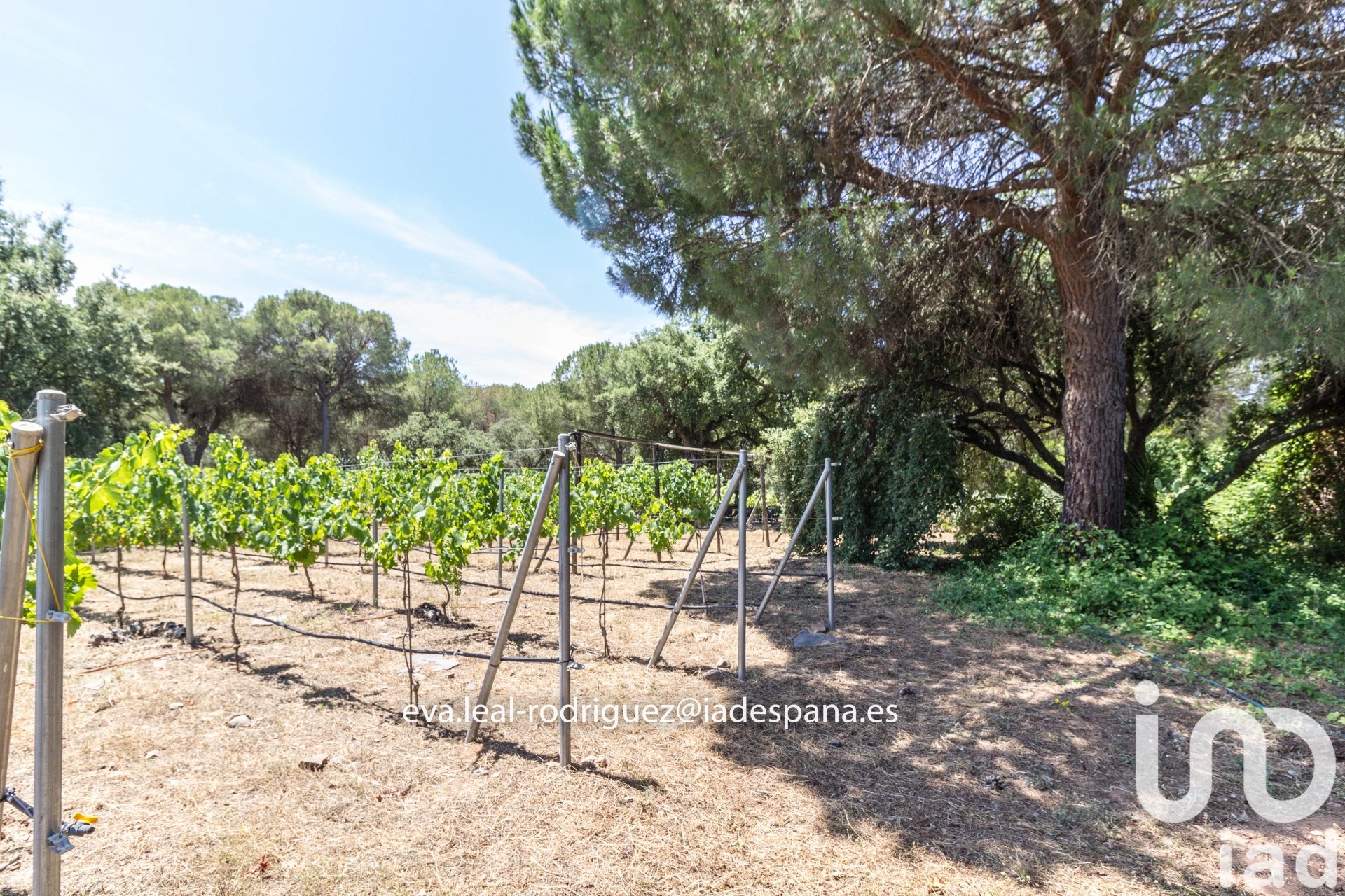 House in Lepe, Huelva, Spain 8 bedrooms, 296 sq.m. No. 153196