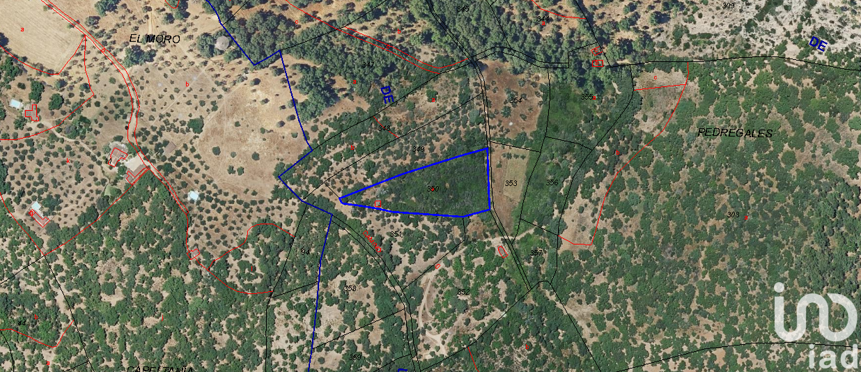Land plot in Aracena, Huelva, Spain 5409 sq.m. No. 185846