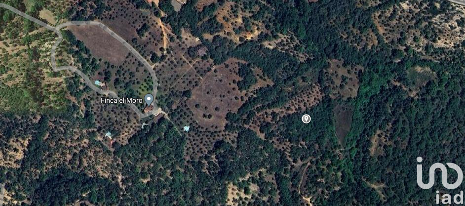 Land plot in Aracena, Huelva, Spain 5409 sq.m. No. 185846