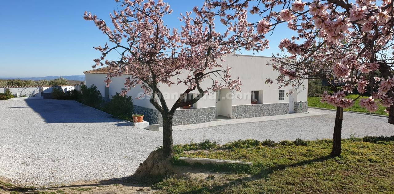 Villa in Oria, Almeria, Spain 3 bedrooms, 2391 sq.m. No. 137638