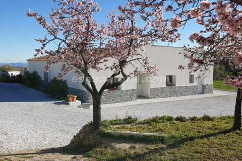 Villa in Oria, Almeria, Spanien 3 Schlafzimmer, 2391 m2 Nr. 137638