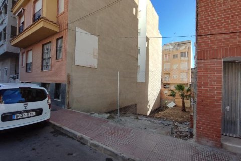 Land in Guardamar del Segura, Alicante, Spanien Nr. 183798