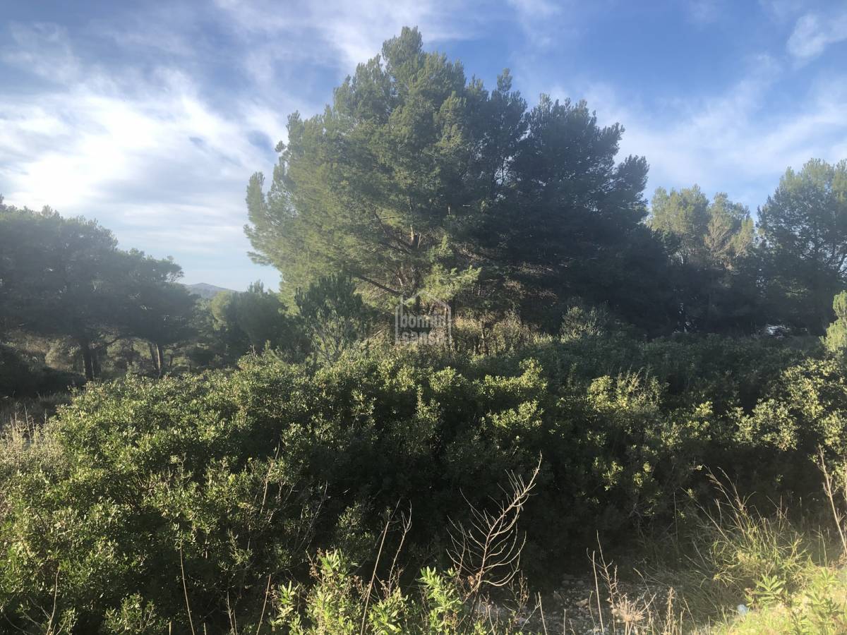 Zemes gabals Es Mercadal, Menorca, Spānijā Nr. 65452